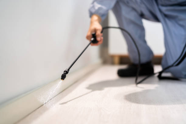 Licensed Pest Control service in Ashland, CA - Show Me Pest Control