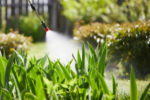 24/7 Emergency Mosquito Control experts in Ashland, CA