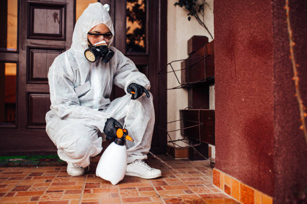 Reliable Mosquito Control contractor in Ashland, CA by Show Me Pest Control